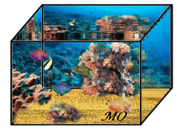 Mo