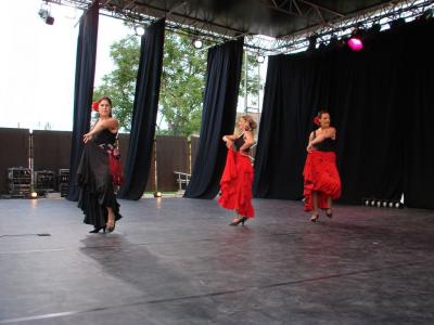 Soiree FLAMENCA
