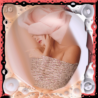 Une Rose.......