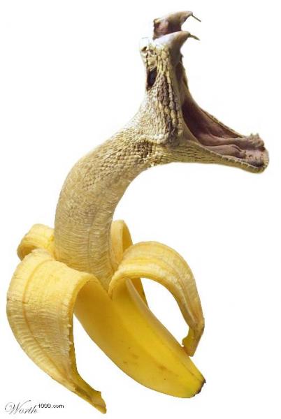 Moi